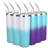 Stainless Steel Skinny Tumblers 