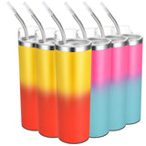 Stainless Steel Skinny Tumblers 
